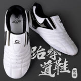 GINGPAI SPORT Breathable Taekwondo Shoes for Martial Arts Training